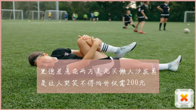里德差点花两万美元买懒人沙发真是让人哭笑不得均价仅需200元